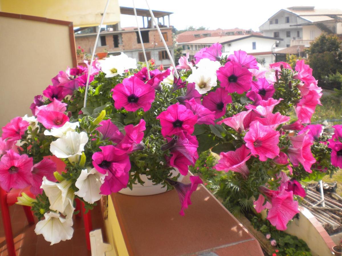 B&B Del Sole Tropea Riaci Bagian luar foto
